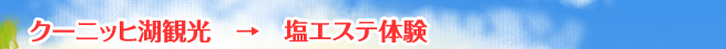 クーニッヒ湖観光　→　塩エステ体験